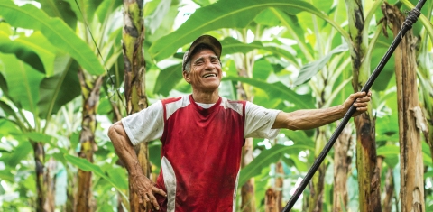 Ensuring fair pay for growers through fairtrade