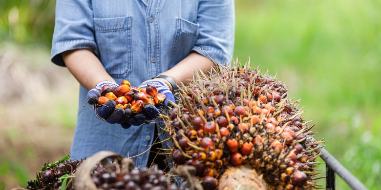 In this image, a woman's hand is holding a berries.