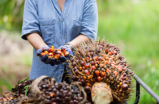 In this image, a woman's hand is holding a berries.