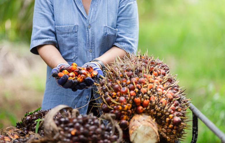 In this image, a woman's hand is holding a berries.